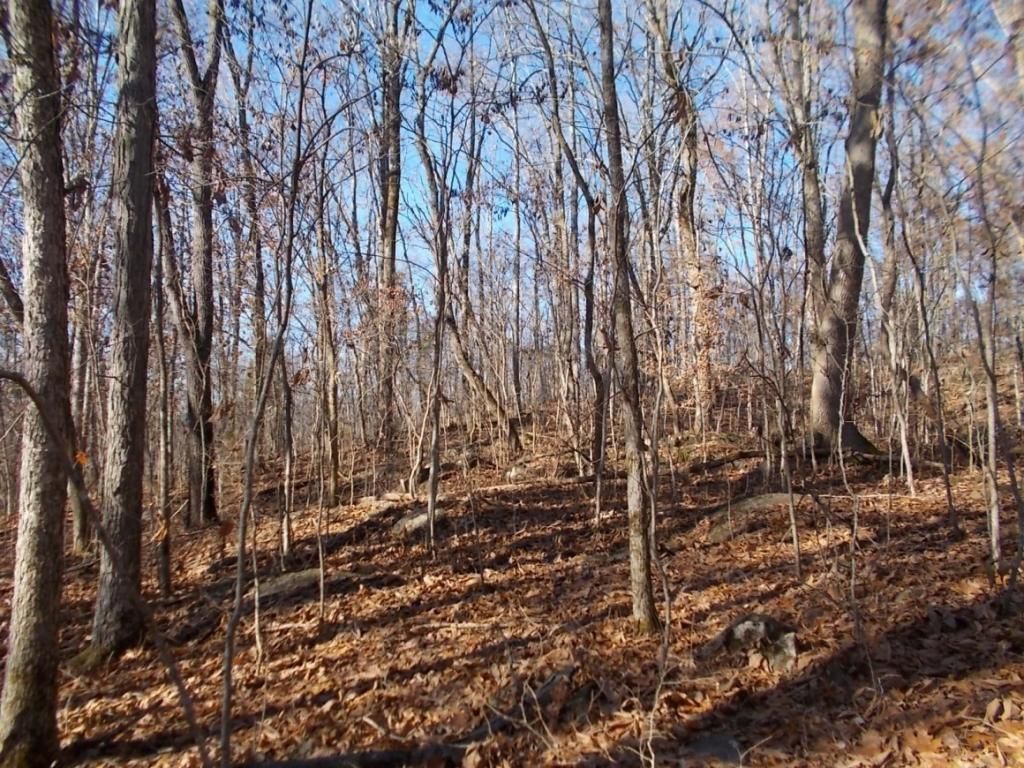 414 Doane Rd, New Market, TN 37820